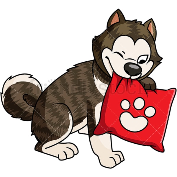 Brindle akita dog with pillow. PNG - JPG and vector EPS file formats (infinitely scalable). Image isolated on transparent background.