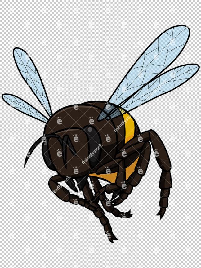 Front View Of A Bree Flying On Transparent Background