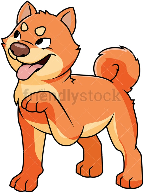Playful akita dog. PNG - JPG and vector EPS file formats (infinitely scalable). Image isolated on transparent background.
