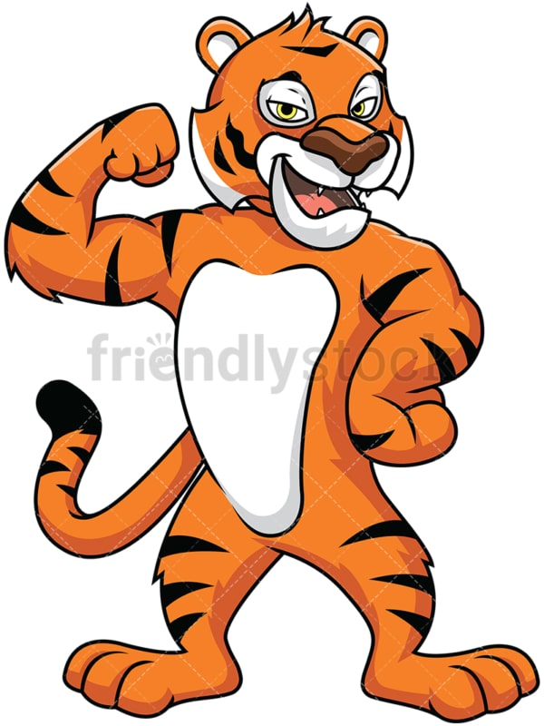 Bengal tiger mascot flexing its muscles - Image isolated on white background. Transparent PNG and vector (infinitely scalable) EPS