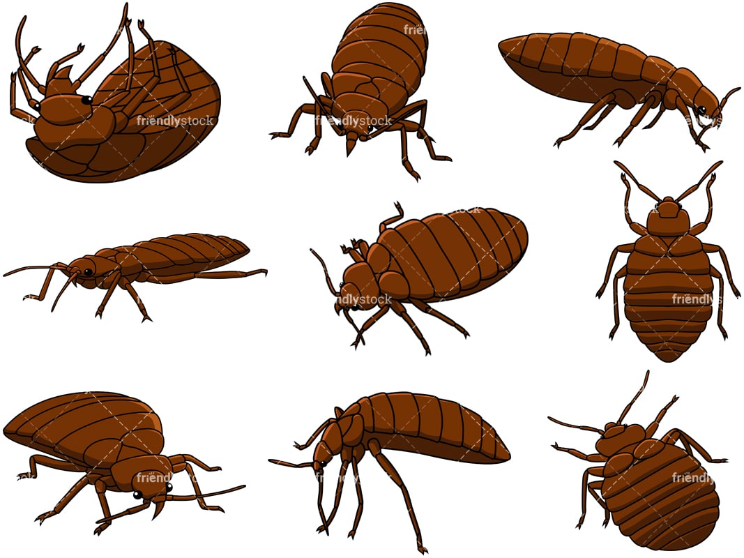 Bed Bugs Cartoon Vector Clipart - FriendlyStock
