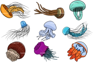 Jellyfish cartoon. PNG - JPG and vector EPS file formats (infinitely scalable). Image isolated on transparent background.