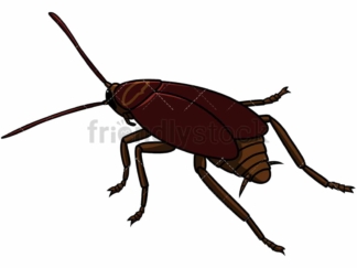 Back view cockroach. PNG - JPG and vector EPS file formats (infinitely scalable). Image isolated on transparent background.