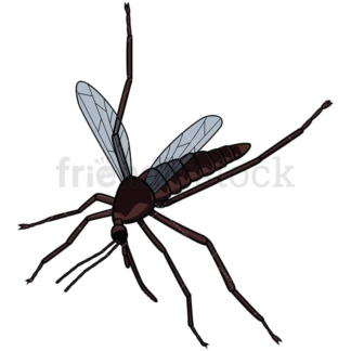 Killed mosquito . PNG - JPG and vector EPS file formats (infinitely scalable). Image isolated on transparent background.