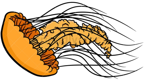 Orange jellyfish. PNG - JPG and vector EPS file formats (infinitely scalable). Image isolated on transparent background.