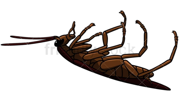 Dead cockroach side view. PNG - JPG and vector EPS file formats (infinitely scalable). Image isolated on transparent background.