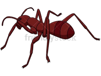 Red ant back view. PNG - JPG and vector EPS file formats (infinitely scalable). Image isolated on transparent background.