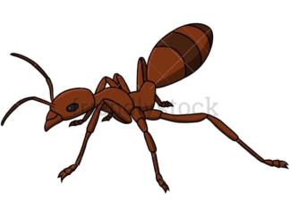 Brown ant. PNG - JPG and vector EPS file formats (infinitely scalable). Image isolated on transparent background.