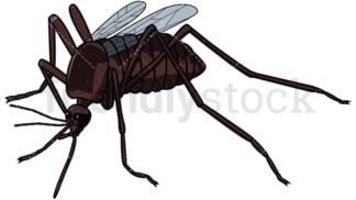 Idle mosquito. PNG - JPG and vector EPS file formats (infinitely scalable). Image isolated on transparent background.
