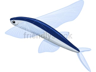 Flying fish. PNG - JPG and vector EPS file formats (infinitely scalable). Image isolated on transparent background.