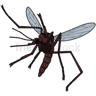 Flying mosquito. PNG - JPG and vector EPS file formats (infinitely scalable). Image isolated on transparent background.
