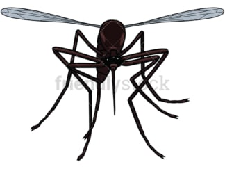 Flying mosquito front view. PNG - JPG and vector EPS file formats (infinitely scalable). Image isolated on transparent background.