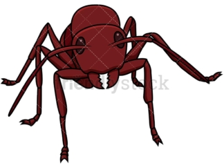Red ant front view. PNG - JPG and vector EPS file formats (infinitely scalable). Image isolated on transparent background.