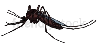 Mosquito side view. PNG - JPG and vector EPS file formats (infinitely scalable). Image isolated on transparent background.