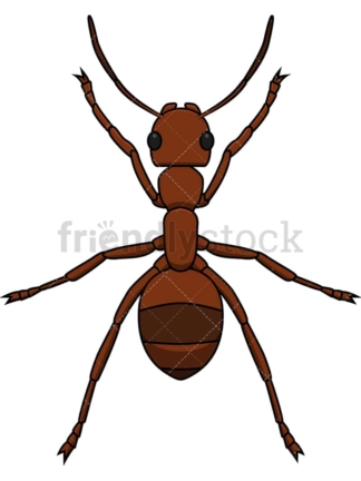 Ant top view. PNG - JPG and vector EPS file formats (infinitely scalable). Image isolated on transparent background.