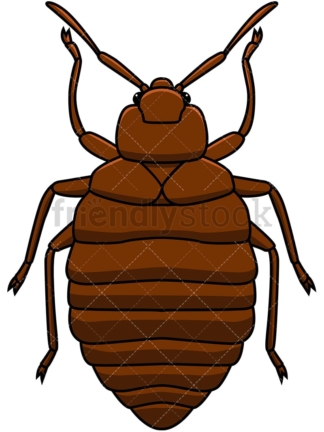 Bed bug top view. PNG - JPG and vector EPS file formats (infinitely scalable). Image isolated on transparent background.