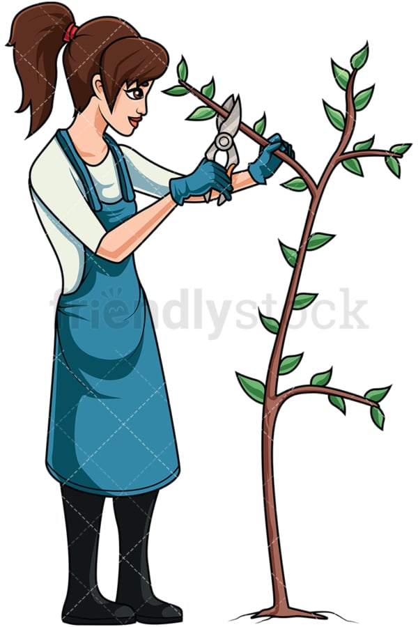 Woman pruning tree. PNG - JPG and vector EPS file formats (infinitely scalable). Image isolated on transparent background.