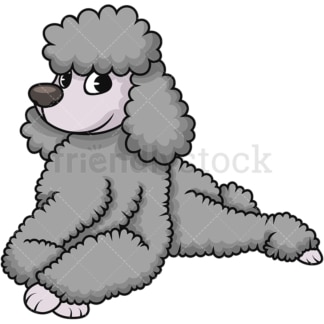 Standard poodle lying down. PNG - JPG and vector EPS (infinitely scalable). Image isolated on transparent background.