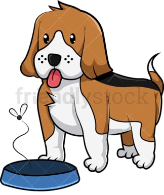 Beagle dog not liking its food. PNG - JPG and vector EPS (infinitely scalable). Image isolated on transparent background.