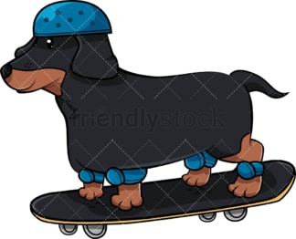 Dachshund dog on skateboard. PNG - JPG and vector EPS (infinitely scalable). Image isolated on transparent background.