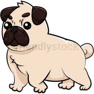 Adorable chubby pug. PNG - JPG and vector EPS (infinitely scalable). Image isolated on transparent background.