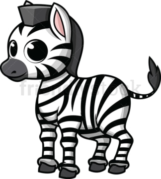 Adorable little zebra. PNG - JPG and vector EPS (infinitely scalable). Image isolated on transparent background.