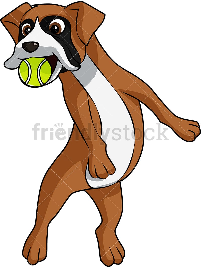 Boxer Dog Catching Tennis Ball Cartoon Vector Clipart - FriendlyStock