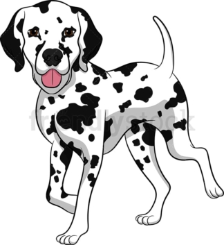 Walking dalmatian dog. PNG - JPG and vector EPS (infinitely scalable). Image isolated on transparent background.