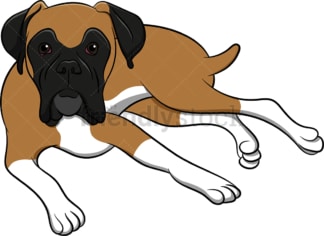 Boxer dog lying down. PNG - JPG and vector EPS (infinitely scalable). Image isolated on transparent background.