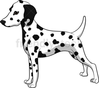 Proud dalmatian dog. PNG - JPG and vector EPS (infinitely scalable). Image isolated on transparent background.