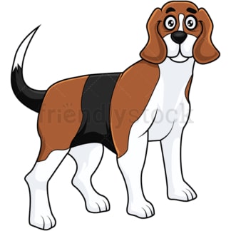 Cute beagle dog standing on all fours. PNG - JPG and vector EPS (infinitely scalable).