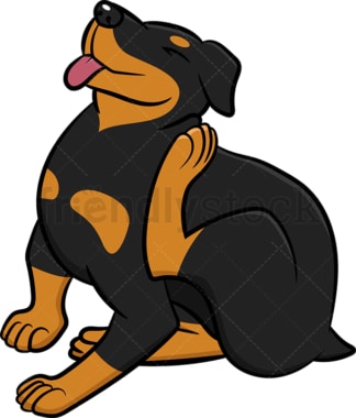 Rottweiler scratching its ear. PNG - JPG and vector EPS (infinitely scalable).
