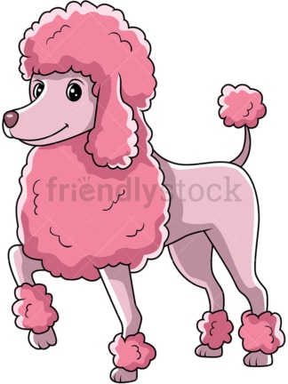 Pink poodle dog standing with one paw up. PNG - JPG and vector EPS (infinitely scalable).