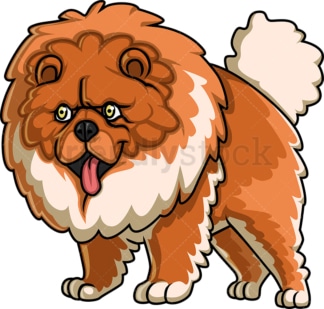 Huge chow chow dog. PNG - JPG and vector EPS (infinitely scalable).