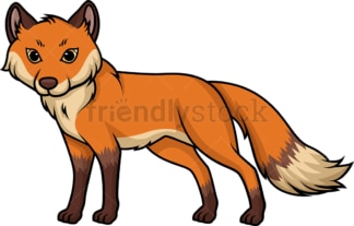 Wild fox. PNG - JPG and vector EPS (infinitely scalable).