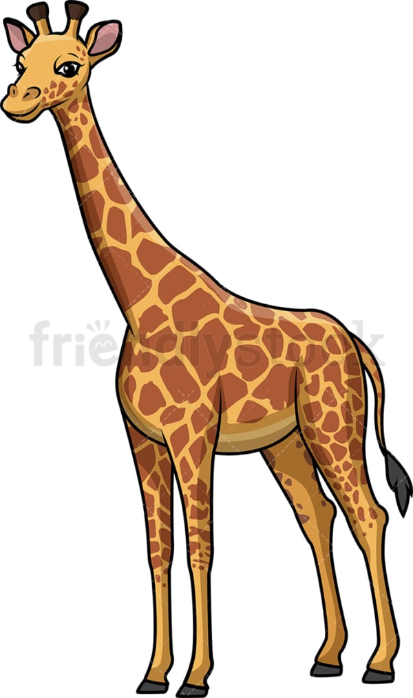 Wild giraffe. PNG - JPG and vector EPS (infinitely scalable).