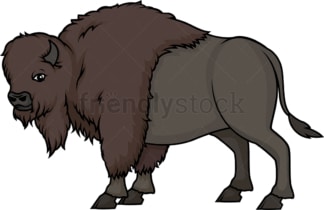Wild buffalo. PNG - JPG and vector EPS (infinitely scalable).