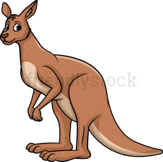 Wild kangaroo. PNG - JPG and vector EPS (infinitely scalable).