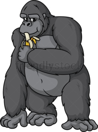 Gorilla eating banana. PNG - JPG and vector EPS (infinitely scalable).