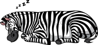 Zebra sleeping. PNG - JPG and vector EPS (infinitely scalable).