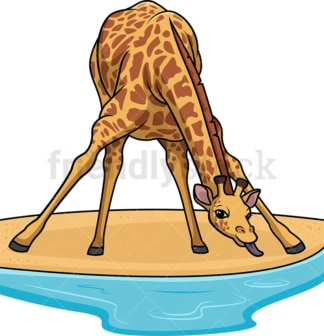 Giraffe drinking water from pond. PNG - JPG and vector EPS (infinitely scalable).