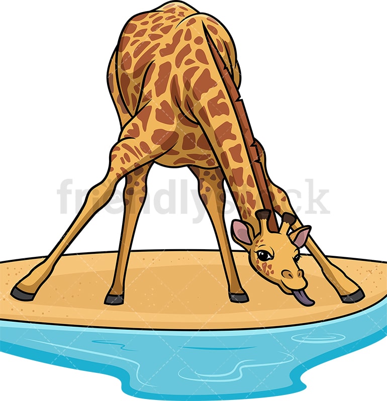 Giraffe Drinking Water From Pond Cartoon Clipart Vector - FriendlyStock