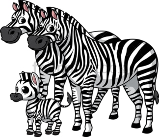 Zebra family. PNG - JPG and vector EPS (infinitely scalable).