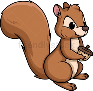 Squirrel eating a nut. PNG - JPG and vector EPS (infinitely scalable).