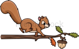 Squirrel walking on tree branch. PNG - JPG and vector EPS (infinitely scalable).