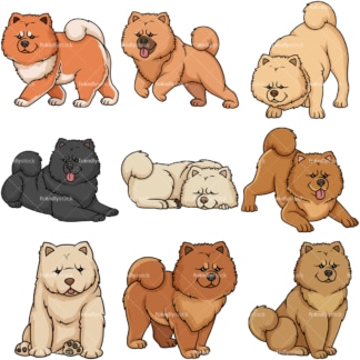 Cães Chow Chow. PNG - formatos de arquivo JPG e vetor EPS (infinitamente escalonável).