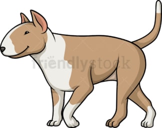 Fawn bull terrier walking. PNG - JPG and vector EPS (infinitely scalable).