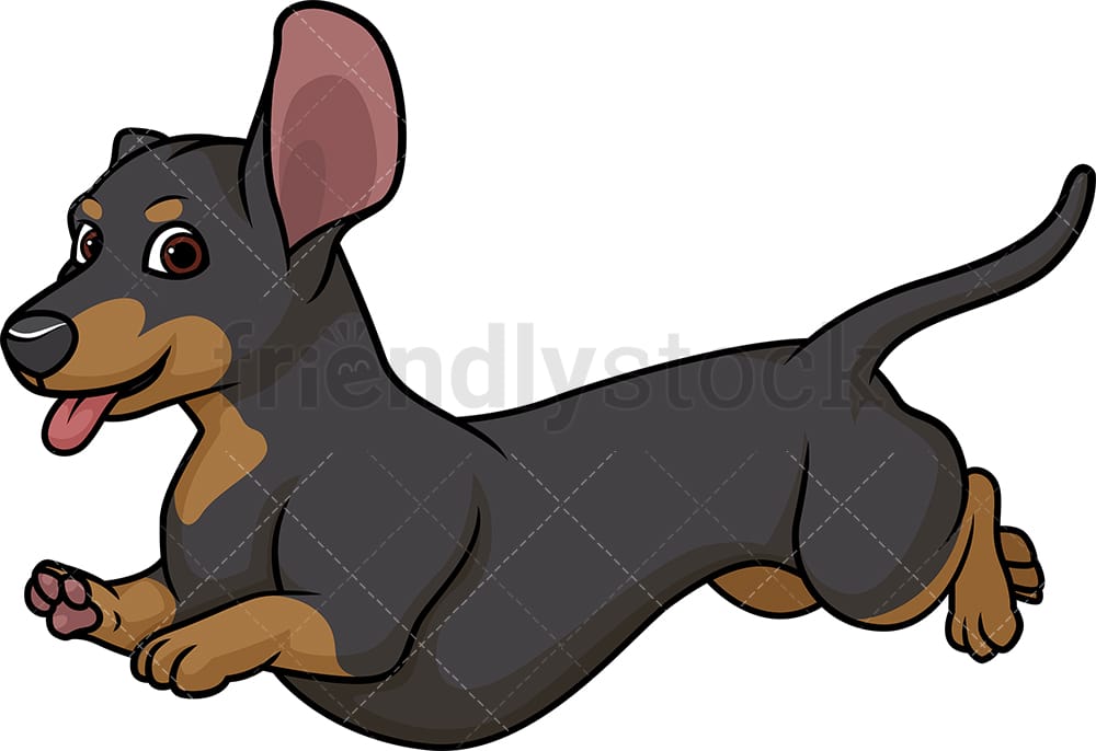 Cartoon Wiener Dog Clipart : | view 316 dog illustration, images and ...