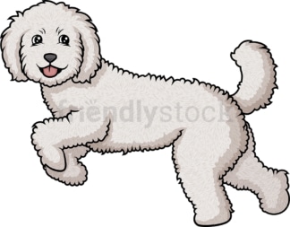 Labradoodle running. PNG - JPG and vector EPS (infinitely scalable).