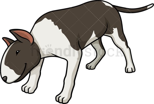 Black brindle bull terrier sniffing. PNG - JPG and vector EPS (infinitely scalable).